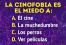 10+ Preguntas de cultura general que separan a los curiosos de los verdaderos genios