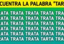 Test: Pon a prueba tu mente y encuentra la palabra distinta entre las demás en estas imágenes