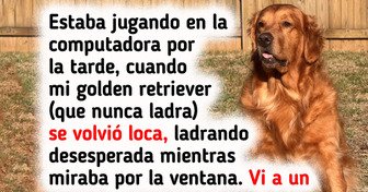 16 Adorables animales cuyo amor es tan grande que podría llegar hasta la Luna y volver