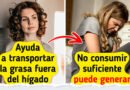 Descubre todo lo que puede mejorar en tu salud con un solo nutriente que casi nadie conoce