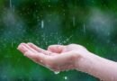 Clima en Córdoba: cómo estará la temperatura este martes 15 de julio