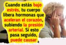 ¿Sabías que gestionar tus emociones puede ayudarte a controlar la hipertensión? Aquí te explicamos cómo