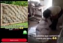 Pidió piedras decorativas en Temu y recibió algo insólito: “No lo puedo creer”