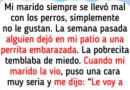 10 Pequeñas historias en las que la amabilidad le salvó el día a alguien (humano o animal)
