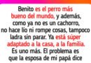 Me niego a que mi madrastra eche a mi perro de mi casa